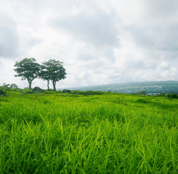 Bukit Cinta Tempat Memadu Kasih Muda Mudi Kota Kupang