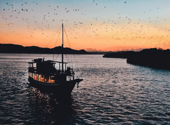 Pulau Kalong di Taman Nasional Komodo, Surganya Para Kelelawar di Flores