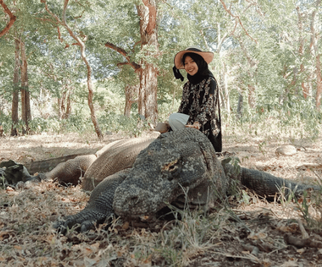 Taman Nasional Komodo, Fakta Keunikan dan Sejarahnya