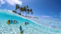 7 Pantai Eksotis di Pulau Sabu Nusa Tenggara Timur