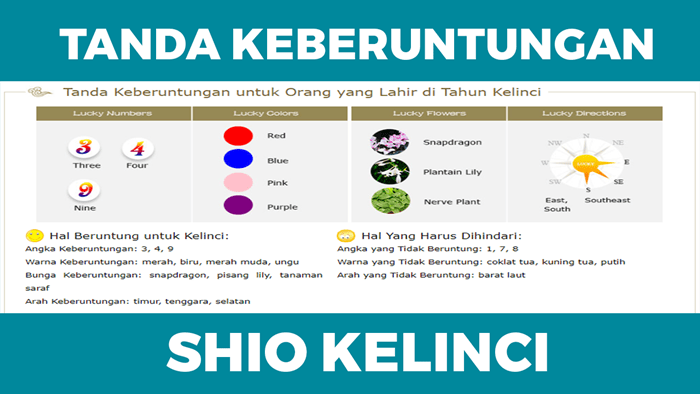 Tanda Keberuntungan untuk Orang yang Lahir di Tahun Kelinci