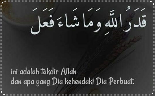 KATA ISLAMI: Bijak, Cinta, Mutiara, Kehidupan dan Nasehat