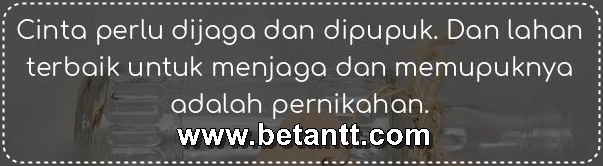 PUISI CINTA: ROMANTIS, RINDU, SEDIH Terlengkap