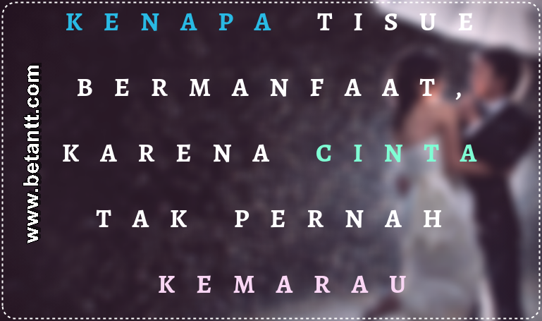 PUISI CINTA: ROMANTIS, RINDU, SEDIH Terlengkap