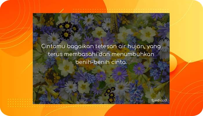 Kata Kata Romantis: Pacar, Singkat, Lucu, Istri, Suami, LDR, Bahasa Inggris