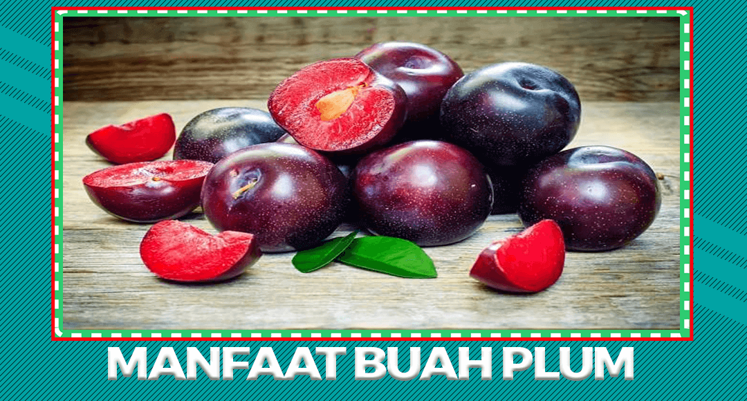 Manfaat dan Khasiat Buah Plum Untuk Tubuh Sehat