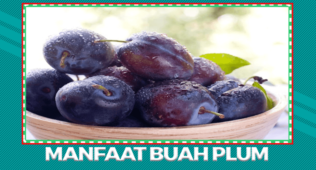 Manfaat dan Khasiat Buah Plum Untuk Tubuh Sehat