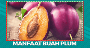 Manfaat dan Khasiat Buah Plum Untuk Tubuh Sehat