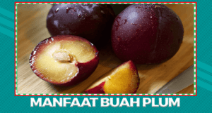 Manfaat dan Khasiat Buah Plum Untuk Tubuh Sehat