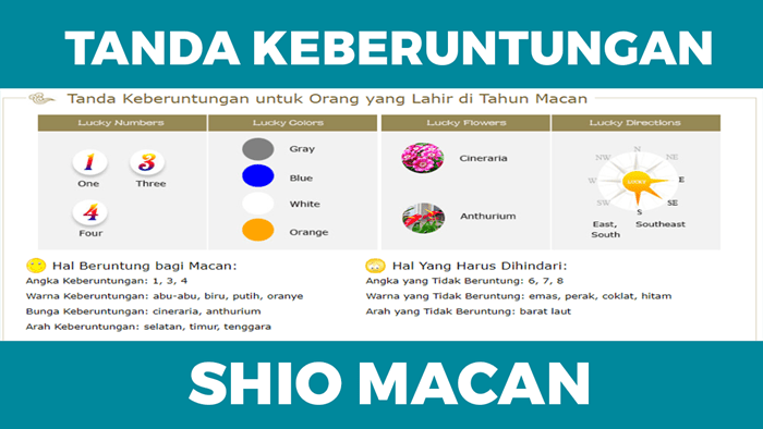 Tanda Keberuntungan untuk Orang yang Lahir di Tahun Macan