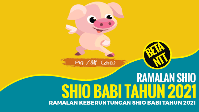 Ramalan Keberuntungan Shio Babi Tahun 2021 Betantt Com