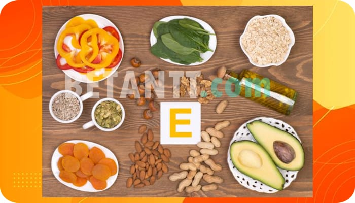 Makanan yang Mengandung Vitamin E Tinggi