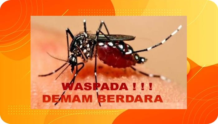 Penyakit Demam Berdarah DBD