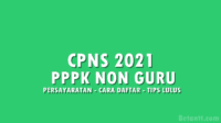 Alur Sistem Seleksi CPNS 2022 untuk PPPK Non Guru