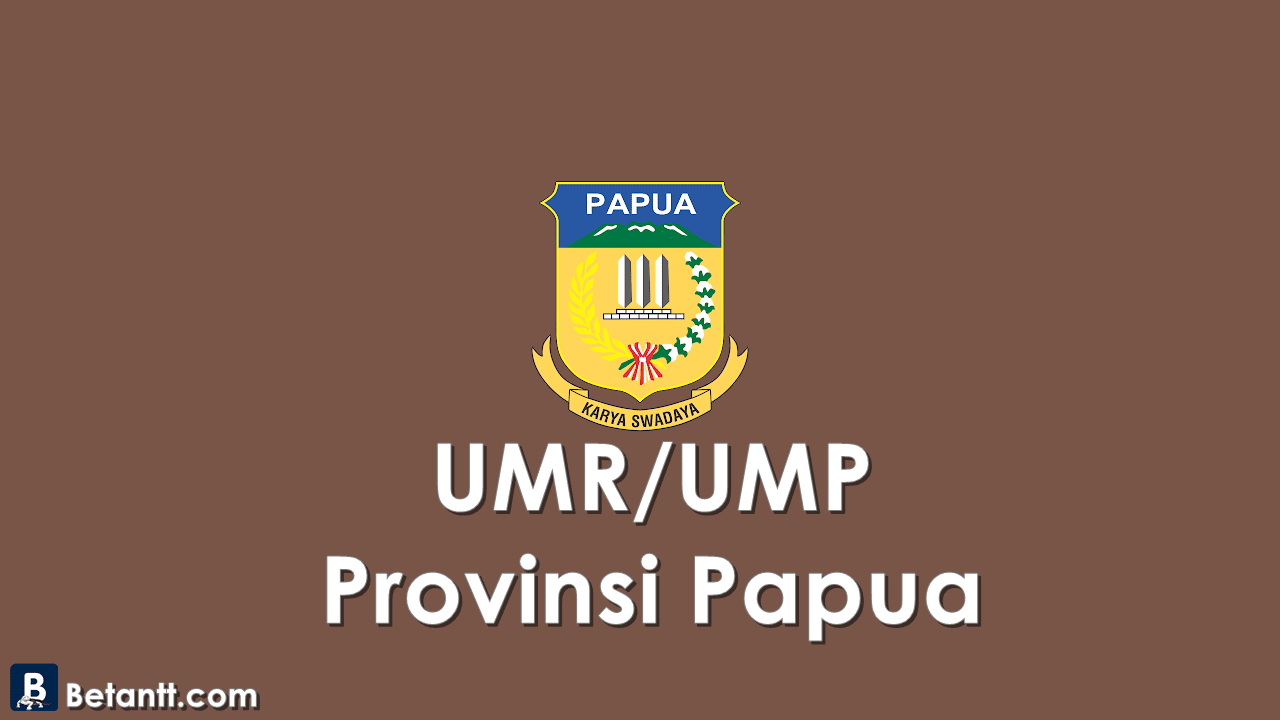 Data UMP/UMR Kabupaten/Kota di Provinsi Papua 2021