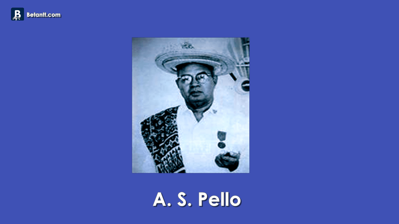 A. S. Pello