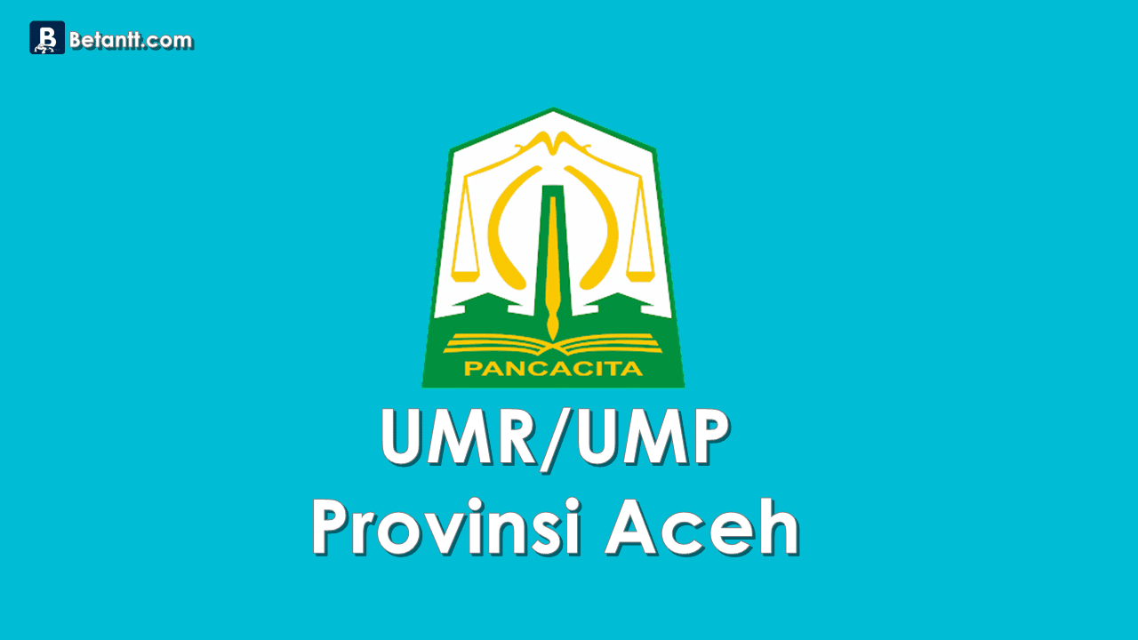 Data UMP/UMR Kabupaten/Kota di Provinsi Nanggroe Aceh Darussalam 2021