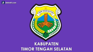 Logo Kabupaten Timor Tengah Selatan CDR & Png HD