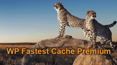 WP Fastest Cache Premium 1.6.3 – WordPress Cache Plugin