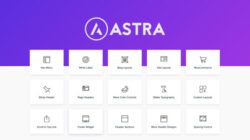 Astra Pro 3.6.11 Nulled – Extend Astra Theme With the Pro Addon