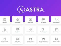 Astra Pro 3.6.11 Nulled – Extend Astra Theme With the Pro Addon