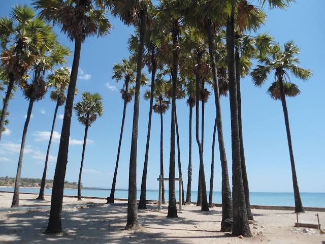 Eksotisme Pantai Lasiana Kota Kupang